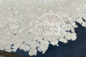 Білі плями і сморід: Після зливи в Одесі море вкрилося дивною піною