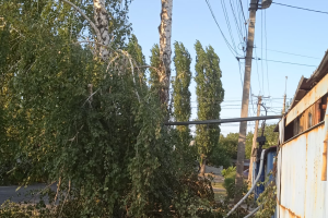 Мешканці Лисичанська звинуватили працівників ЛЕО у "варварстві": в компанії відповіли
