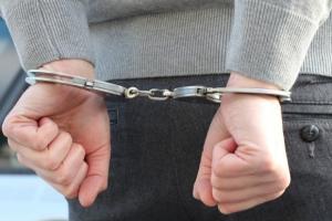 В Нидерландах двух украинцев задержали за перевозку нелегалов