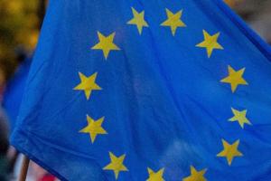 Евросоюз осудил российскую "перепись населения" в оккупированном Крыму