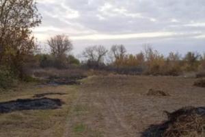 На Луганщині чоловік отримав смертельні опіки, коли палив траву