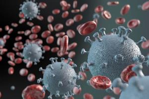 На Луганщине зафиксировано 204 новых случая COVID-19