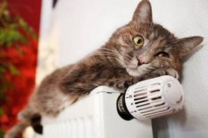 "Убийственное" подорожание отопления в Лисичанске отменяется: сколько будем платить за тепло в 2021-22 году