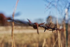 Естонія встановить на кордоні 130 кілометрів колючого дроту