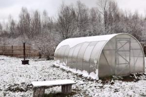 Що потрібно зробити на городі взимку, щоб майбутній урожай порадував