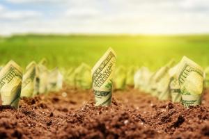 В Украине прошли первые электронные аукционы по продаже земли