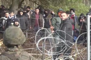 В Бундестаге предложили направить нелегальных мигрантов из Беларуси в Украину