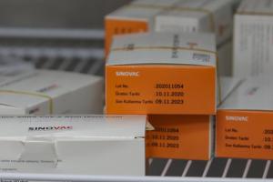 Британія з 22 листопада визнає вакцину CoronaVac