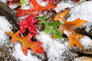 На Україну насувається арктичний холод, вдарять морози
