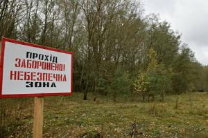 Зібрався зимувати: У Чорнобильській зоні з'явилася тварина, якої ще кілька десятків років тому там не було