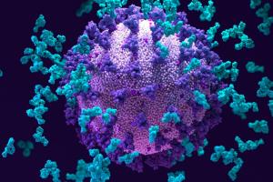 В ЄС дали рекомендації у зв'язку з поширенням штаму COVID-19 "Омікрон"