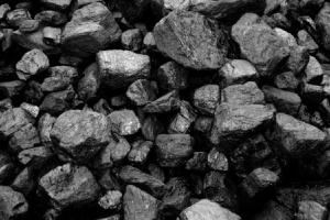 В Украину прибыло первое судно с американским углем