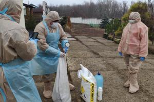 На Луганщині підтвердили спалах пташиного грипу