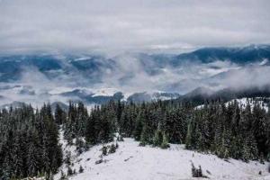 У Карпатах загубилися троє чоловіків: пошукова операція триває другий день
