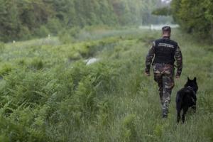 Білоруські прикордонники використовували на польському кордоні петарди