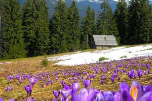 В Украине создадут три новых природных парка