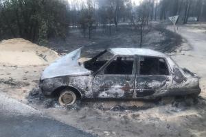 Масштабні пожежі на Луганщині: посадовцям ДСНС і управління лісового господарства області повідомлено про підозру