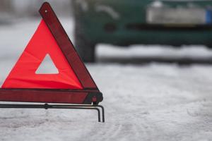У Львівській області перекинувся пасажирський автобус: постраждали 14 людей