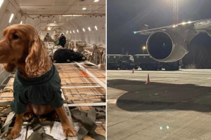 "Друга пташка": В Україну прибула ще одна партія зброї з США