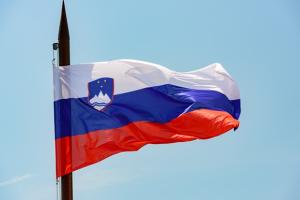 Словения вернет своих дипломатов в Киев
