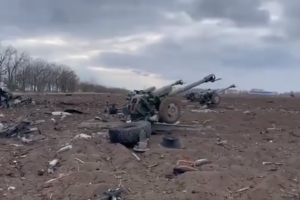 ЗСУ розгромили позиції російських артилеристів під Миколаєвом: відео