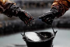 Афганистан предлагает России бартер: нефть в обмен на изюм