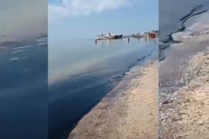 В окупованому Бердянську стався витік мазуту: море почорніло