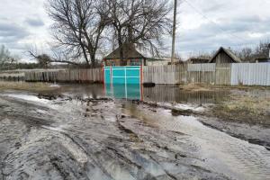 Вблизи Северодонецка "тонут" поселки: дома, подвалы и дороги подтапливают грунтовые воды