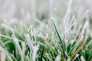 "Ожидаются заморозки": Синоптик рассказала, какой будет погода с начала мая