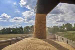 Новые детали импортных ограничений из Украины: эмбарго применят к 4 продуктам