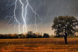 Синоптик предупредила о дождях с грозами в некоторых регионах Украины