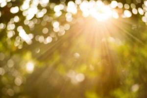 Синоптик рассказала, в каких регионах завтра будет самая теплая погода