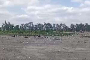 "Знищили все": Який вигляд має елеватор в Рубіжному - відео