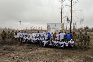 Сосновий піар окупантів: місцеві жителі розвінчують міфи про відновлення лісів