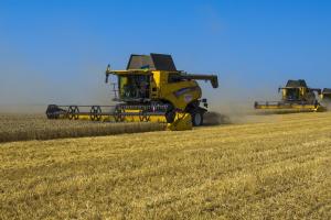 Підсумки збору врожаю на Луганщині: де зникли 70% зерна?