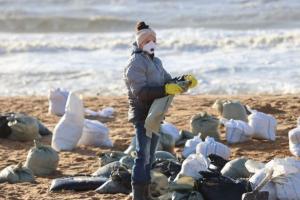 Смертельна хвиля: у Чорному морі гинуть дельфіни, а мазут поширюється далі