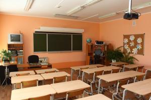 Вспышка гриппа и проблемы с электроснабжением блокируют образовательный процесс на оккупированной Луганщине