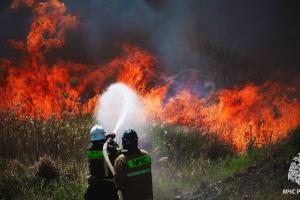 Луганщина горить: понад 40 гектарів знищено вогнем за добу