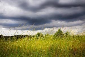 В Україну прийшло свіже повітря, температура знизилася. На заході та півночі комфортно, на сході та півдні ще спекотно. Прогноз погоди на 10 червня, дощі та сонце.