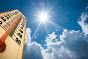 6 продуктів, які охолоджують тіло у спеку +35°C — поради від Health Shots
