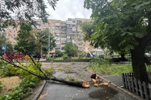 Град, грім і повалені дерева: Київ накрила потужна злива