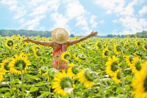 Погода 29 липня: грози на Заході, Півночі та Центрі, спека до +36°C