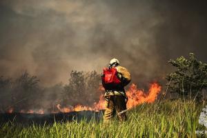 Поблизу окупованого Сіверськодонецька знову фіксують масштабні лісові пожежі.