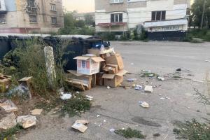 Лисичанськ тоне у смітті: мешканці змушені йти з дітьми просто через відходи
