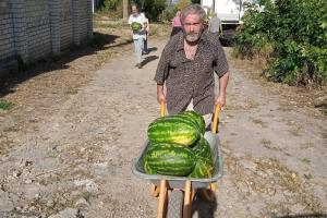 Окупаційна влада в Лисичанську роздала 10 тонн кавунів з Дагестану. Мешканці зазначають, що ця акція не вирішує головних проблем міста.