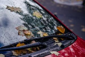 https://vchaspik.ua/ua/ukrayina/592370-sms-vid-aferystiv-yak-ne-vtratyty-groshi-cherez-pidrobku-novoyi-poshty