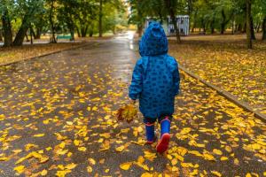 https://vchaspik.ua/ua/ukrayina/592565-29-veresnya-ukrayina-zgaduye-zhertv-babynogo-yaru-symvolu-golokostu