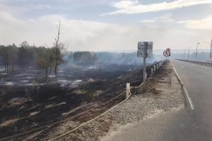 Луганщина пожежі
