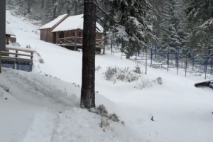 Снег в Карпатах