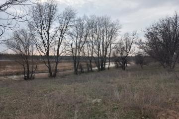 Чисте озеро